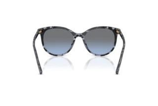 Achteraanzicht Dolce & Gabbana DG4540 (34438F)