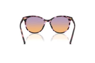 Achteraanzicht Dolce & Gabbana DG4540 (3477EL)