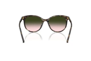 Achteraanzicht Dolce & Gabbana DG4540 (34782C)