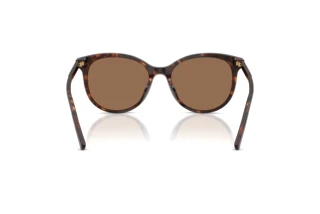 Achteraanzicht Dolce & Gabbana DG4540 (502/13)
