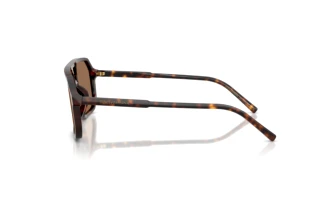 Zijaanzicht Dolce & Gabbana DG4541 (502/73)