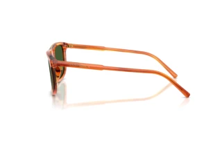Zijaanzicht Dolce & Gabbana DG4542 (348371)