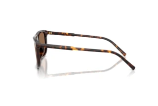 Zijaanzicht Dolce & Gabbana DG4542 (502/73)