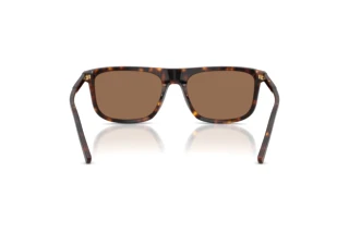Achteraanzicht Dolce & Gabbana DG4542 (502/73)