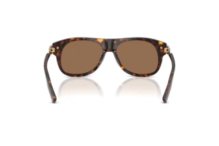 Achteraanzicht Dolce & Gabbana DG4546 (502/73)