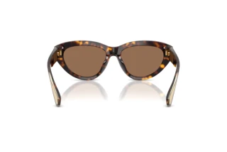 Achteraanzicht Dolce & Gabbana DG4558 (502/73)