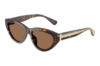 Vooraanzicht Dolce & Gabbana DG4558 (502/73)