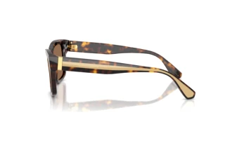 Zijaanzicht Dolce & Gabbana DG4559 (502/73)