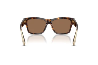 Achteraanzicht Dolce & Gabbana DG4559 (502/73)
