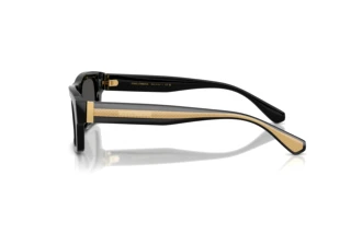 Zijaanzicht Dolce & Gabbana DG4560 (501/87)