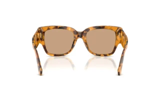 Achteraanzicht Dolce & Gabbana DG4563 (349663)