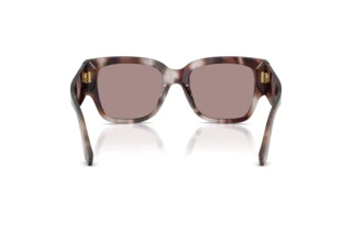 Achteraanzicht Dolce & Gabbana DG4563 (3498LA)