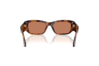 Achteraanzicht Dolce & Gabbana DG4564 (3497/3)