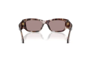 Achteraanzicht Dolce & Gabbana DG4564 (3498LA)