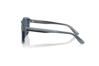 Zijaanzicht Dolce & Gabbana DG4566 (348280)