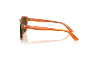 Zijaanzicht Dolce & Gabbana DG4566 (34839A)