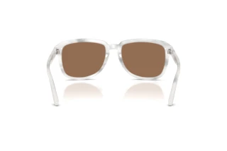 Achteraanzicht Dolce & Gabbana DG4566 (349573)