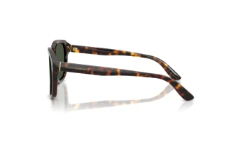 Zijaanzicht Dolce & Gabbana DG4566 (502/9A)