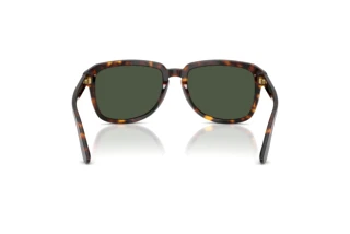 Achteraanzicht Dolce & Gabbana DG4566 (502/9A)