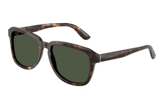 Vooraanzicht Dolce & Gabbana DG4566 (502/9A)