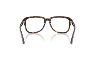 Achteraanzicht Dolce & Gabbana DG4566 (502/SB)