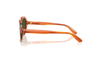 Zijaanzicht Dolce & Gabbana DG4567 (348371)