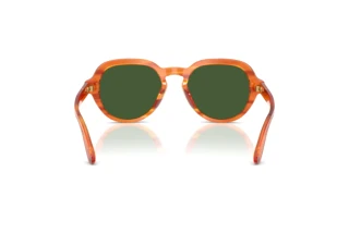 Achteraanzicht Dolce & Gabbana DG4567 (348371)