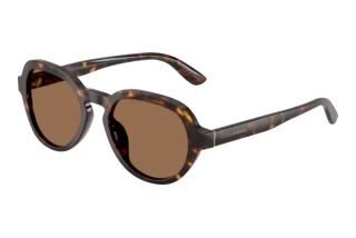 Vooraanzicht Dolce & Gabbana DG4567 (502/73)