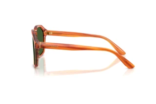 Zijaanzicht Dolce & Gabbana DG4568 (34839A)