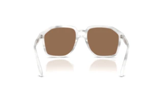 Achteraanzicht Dolce & Gabbana DG4568 (349573)