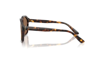 Zijaanzicht Dolce & Gabbana DG4568 (502/73)