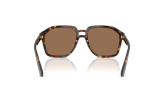 Achteraanzicht Dolce & Gabbana DG4568 (502/73)