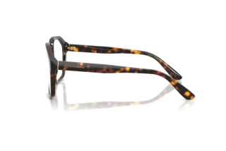 Zijaanzicht Dolce & Gabbana DG4568 (502/SB)