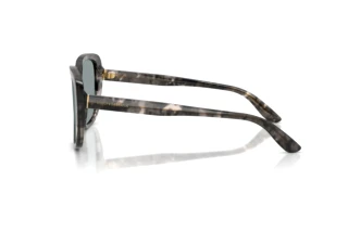 Zijaanzicht Dolce & Gabbana DG4569 (3172/1)