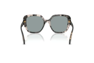 Achteraanzicht Dolce & Gabbana DG4569 (3172/1)