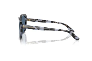 Zijaanzicht Dolce & Gabbana DG4569 (344380)
