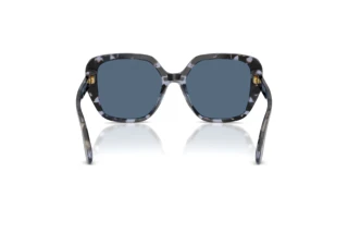 Achteraanzicht Dolce & Gabbana DG4569 (344380)