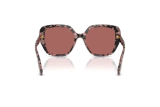 Achteraanzicht Dolce & Gabbana DG4569 (347669)
