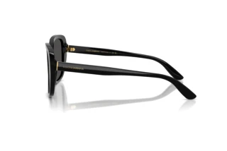 Zijaanzicht Dolce & Gabbana DG4569 (501/87)