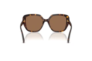 Achteraanzicht Dolce & Gabbana DG4569 (502/73)
