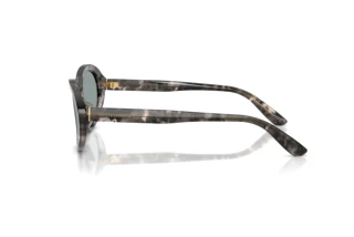 Zijaanzicht Dolce & Gabbana DG4570 (3172/1)