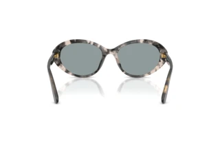 Achteraanzicht Dolce & Gabbana DG4570 (3172/1)