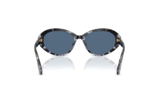 Achteraanzicht Dolce & Gabbana DG4570 (344380)
