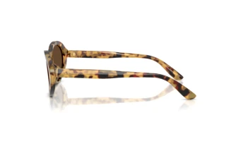 Zijaanzicht Dolce & Gabbana DG4570 (512/73)