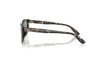 Zijaanzicht Dolce & Gabbana DG4571 (3172/1)
