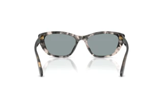 Achteraanzicht Dolce & Gabbana DG4571 (3172/1)