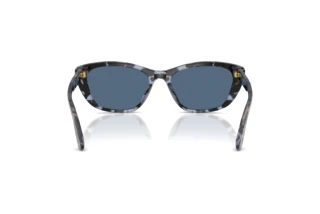 Achteraanzicht Dolce & Gabbana DG4571 (344380)