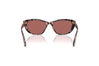 Achteraanzicht Dolce & Gabbana DG4571 (347669)