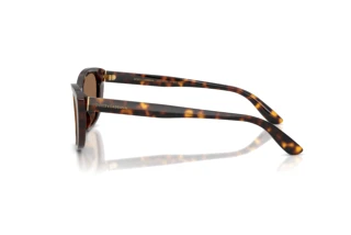 Zijaanzicht Dolce & Gabbana DG4571 (502/73)