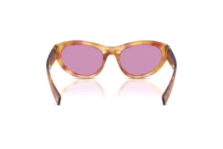 Achteraanzicht Dolce & Gabbana DG6207 (34771A)